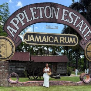 YS Falls & Appleton Estate Rum Tour
