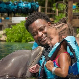 Dolphin Cove Adventure Tour